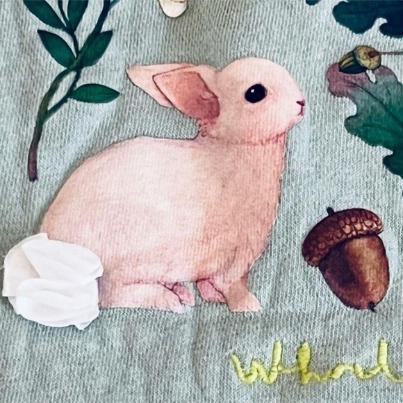 Whooli Chen x H&M Girl’s Mint Green Bunnies Woodland Hoodie Size 5T/6 - Picture 7 of 11